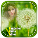 Dandelion Photo Editor APK