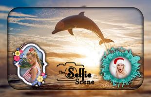 Dolphin Photo Frames الملصق