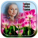 Tulips Photo Frames APK