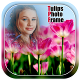 Tulips Photo Frames icône