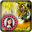 Tiger Photo Editor