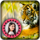 Tiger Photo Editor 아이콘