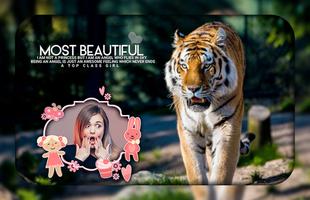 Tiger Photo Editor 스크린샷 2