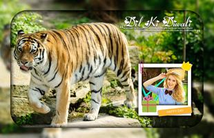 Tiger Photo Editor 스크린샷 3