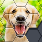 Block Hexa Puzzle - jigsaw puz icon