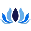 BMS APK