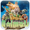 Animal Puzzle