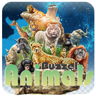 Animal Puzzle आइकन