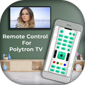 Remote Control For Polytron TV
