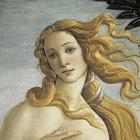 Botticelli Wallpapers icône