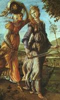 Botticelli Wallpapers capture d'écran 1