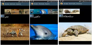 животные на арабском языке.