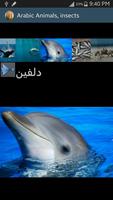Arabic Picture animals 截圖 3
