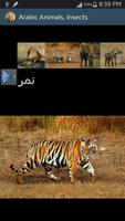 Arabic Picture animals 截圖 1
