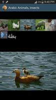 Arabic Picture animals screenshot 2
