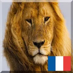 French animals names アプリダウンロード