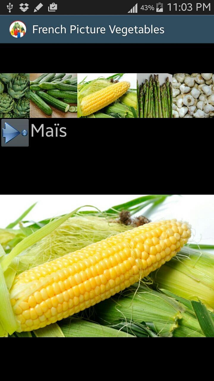 أسماء الخضروات بالفرنسية For Android Apk Download