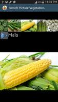 برنامه‌نما vegetables's names in french عکس از صفحه