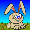 Bouncing Bunnies icon