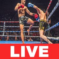 Stream Boxing Live 海报
