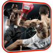 Boxing Video Live Wallpaper