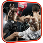 Boxing Video Live Wallpaper icône