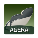 바디프랜드 아제라