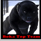 Boka Top Team icône