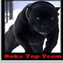Boka Top Team APK