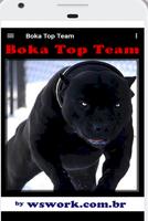 Boka Top Team capture d'écran 2