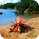 Bonfire Video Live Wallpaper APK