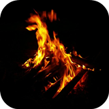 Bonfire 4K Video Wallpaper icône