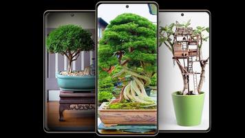 Bonsai Plants Ideas bài đăng