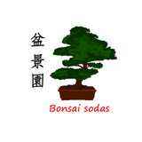 Bonsaisodas APK