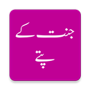 Jannat Kay Pattay(جنت کے پتے) APK