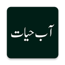 Aab e Hayat Urdu Novel By Umera Ahmed APK