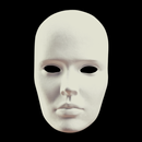The Man in The Iron Mask APK