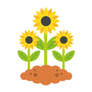 The Secret Garden - Book APK