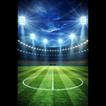 BOOM SCORE ANALYSIS icône