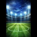 BOOM SCORE ANALYSIS