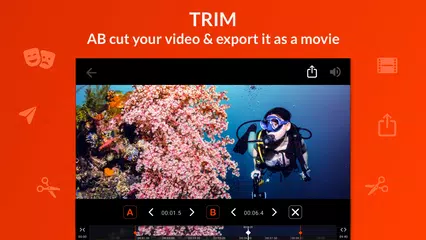 Looper! Loop Video Player APK Herunterladen