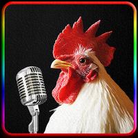 Chicken Song اسکرین شاٹ 1