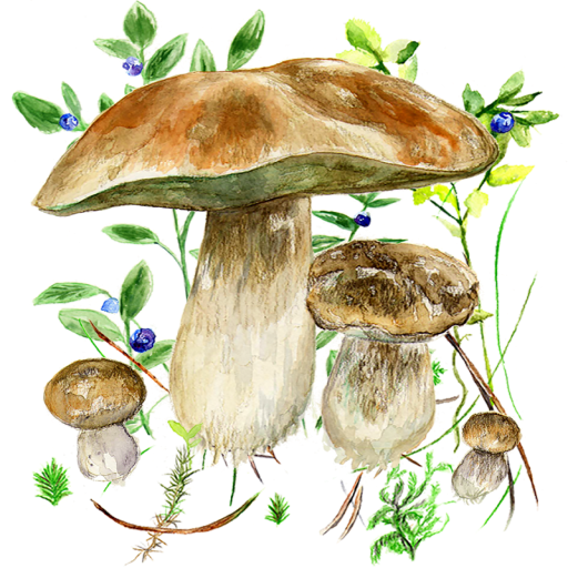 Mushrooms app