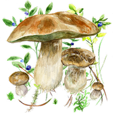 Aux champignons icône