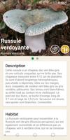 Aux champignons capture d'écran 1