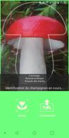 Aux champignons capture d'écran 2