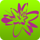 Bab Star App icon