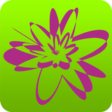 Bab Star App icon