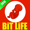 Bit Life - Simulator 2019