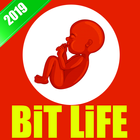 Bit Life - Simulator 2019 Zeichen